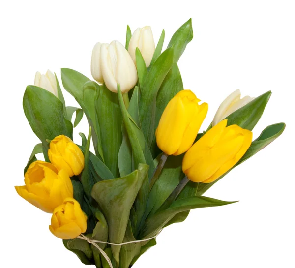 stock image Bouquet of yellow and white tulip flowers isolated on white background