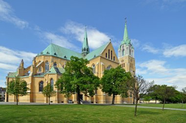 Cathedral, Lodz clipart