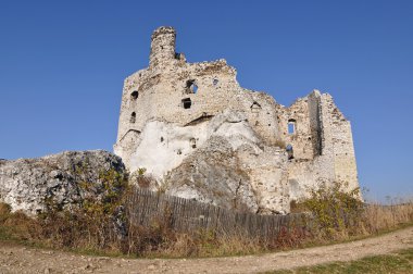 Mirów Castle