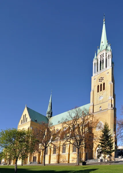Katedral, lodz — Stok fotoğraf