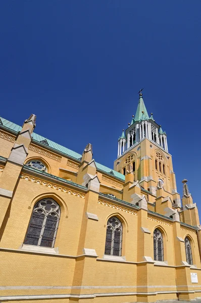 Katedral, lodz — Stok fotoğraf