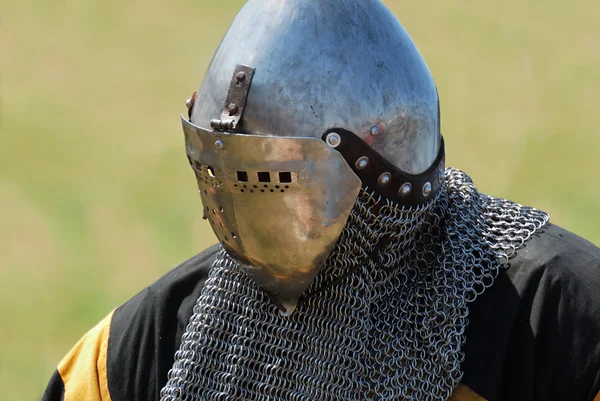 stock image Knight