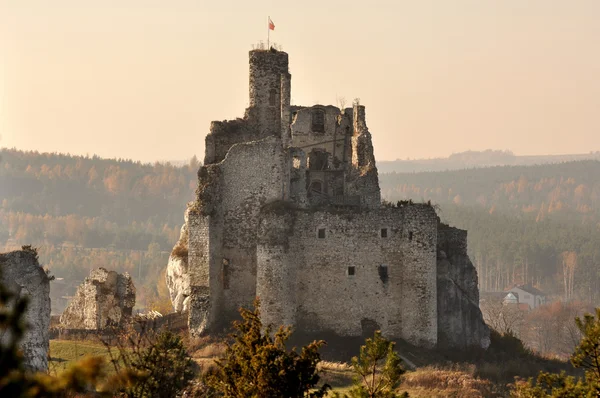 Mirów Castle — Stockfoto