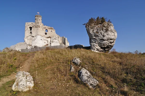 Mirów Castle — Stock Photo, Image