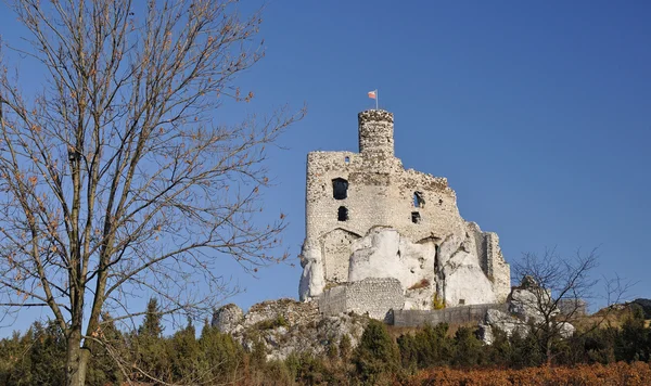 Κάστρο Mirow — Φωτογραφία Αρχείου
