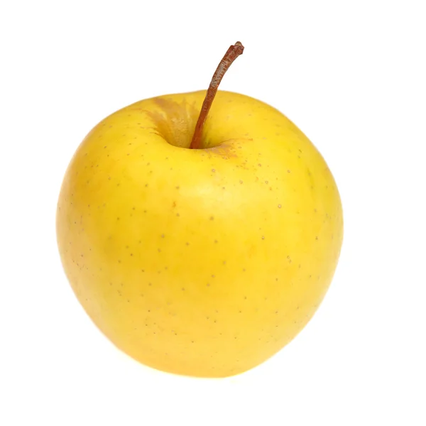 Polskie jabłka kosztela — Zdjęcie stockowe