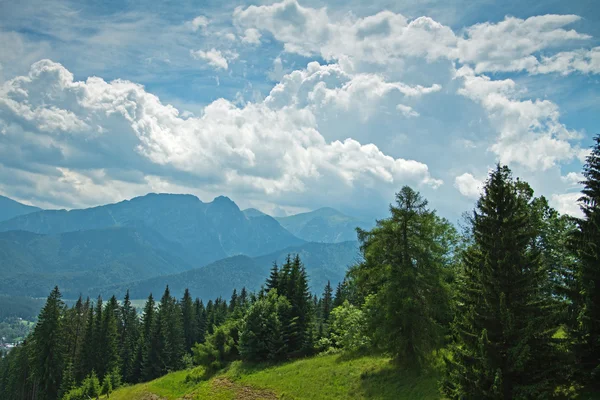 Sunny Tatra Montanhas — Fotografia de Stock