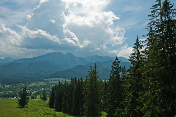 Montagne di Tatra soleggiate — Foto Stock