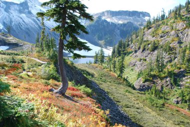 MT baker cennet