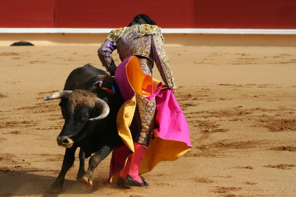 Matador and Bull in Ring — Stock Photo, Image