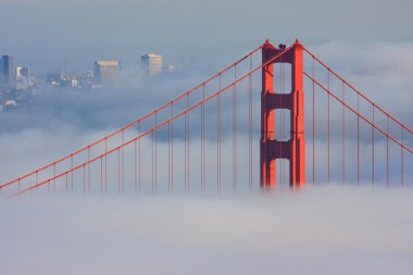 sis san francisco golden gate Köprüsü