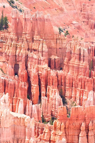 Bryce Kanyonu — Stok fotoğraf