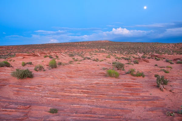 Deserto à noite — Fotografia de Stock