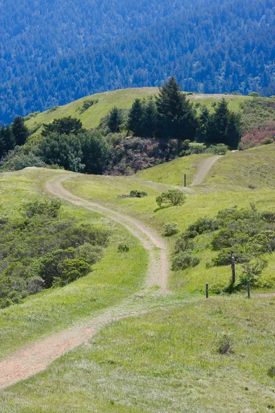 Дорога над зелеными холмами — стоковое фото