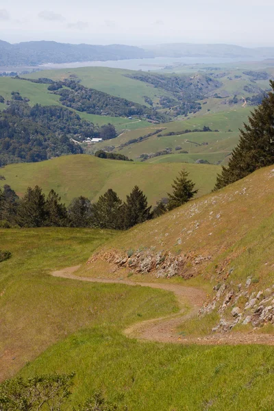 Weg over groene heuvels — Stockfoto