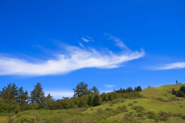 Colline verdi e cielo azzurro nuvoloso — Foto Stock
