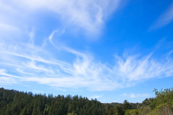 Grønne åser og skyet blå himmel – stockfoto