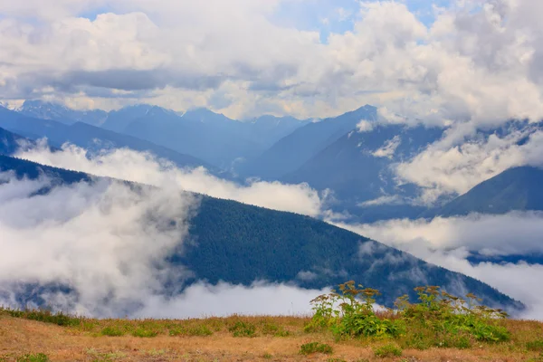 Mountains and fog — Stock Photo, Image