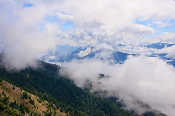 Bergen en mist — Stockfoto