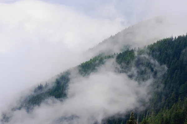 Montanhas e nevoeiro — Fotografia de Stock