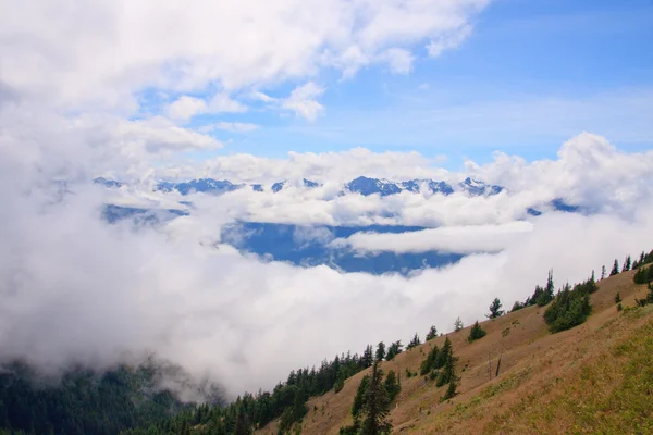 Mountains and fog — Stock Photo, Image