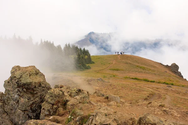 Montañas y niebla —  Fotos de Stock