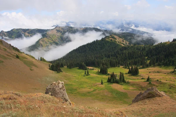 Berge und Nebel — Stockfoto