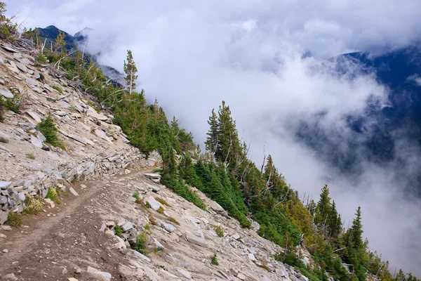 Un sendero de montaña — Foto de Stock
