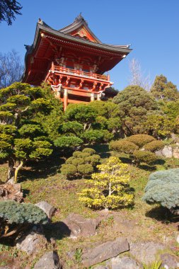 Japon çay bahçesi