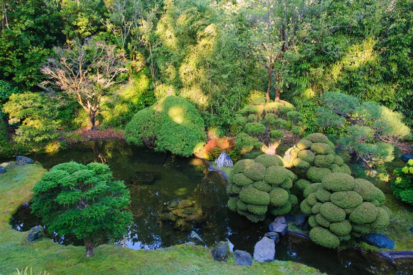 Japonská zahrada čaj — Stock fotografie