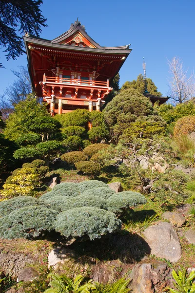 Jardín de té japonés —  Fotos de Stock