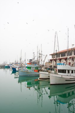 balıkçı tekneleri