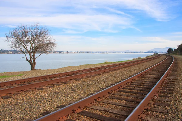 stock image Train tracks