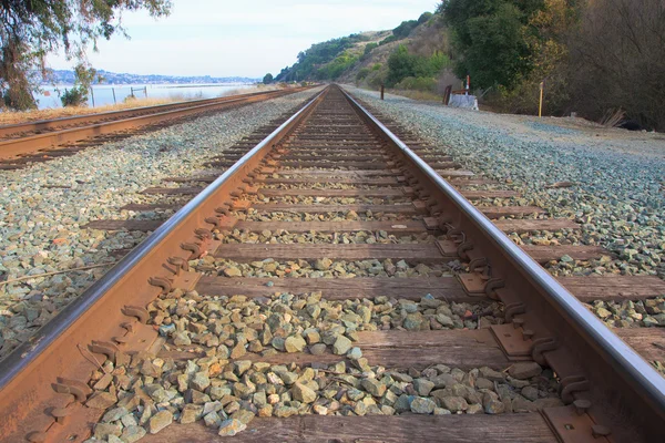 Train tracks — Stock Photo, Image