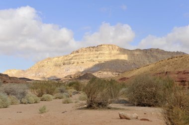 Mount Ardon in Negev desert. clipart