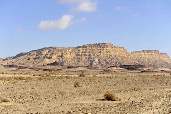 Mount ardon in de negev-woestijn. — Stockfoto