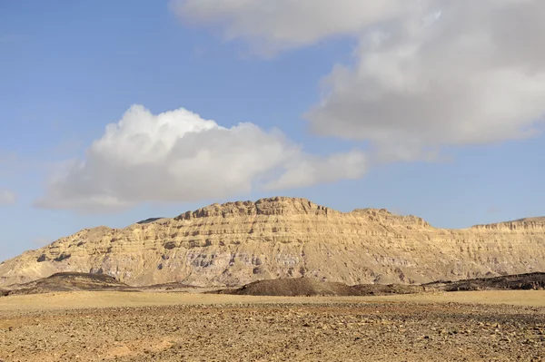 Mount Ardon in Negev desert. — Stock Photo, Image