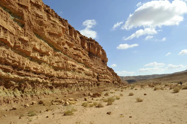 Trekking in Negev desert. — Stock Photo, Image
