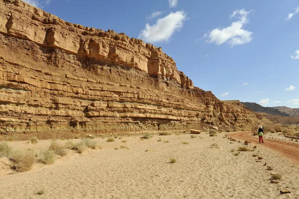 Trekking in der Wüste Negev. — Stockfoto