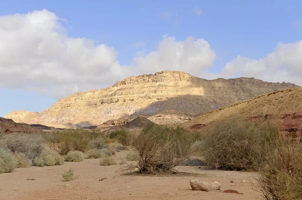 Monte Ardon no deserto de Negev . Fotos De Bancos De Imagens