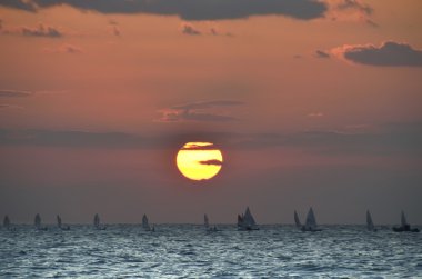 akşam regatta.