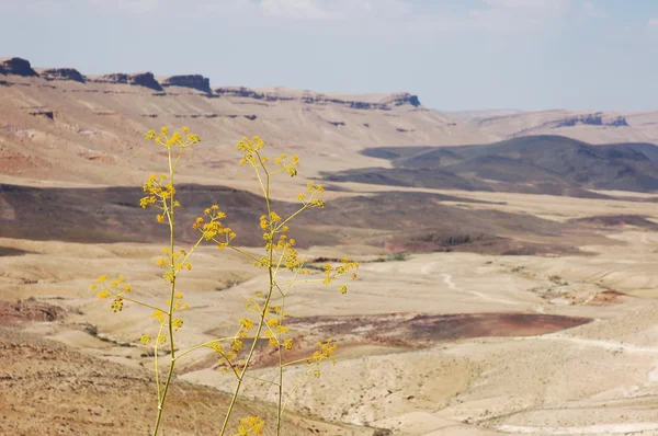 Кратер Рамон в пустелі Негев. — стокове фото
