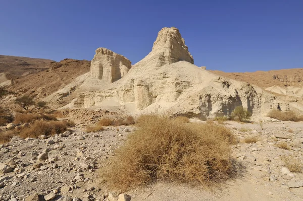 Judea desert landscape. — Stock Photo, Image