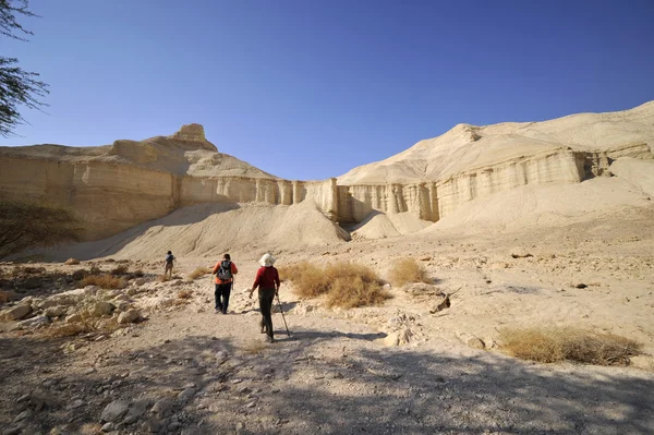 Wadi Zohar trek in Judea desert. — Stock Photo, Image