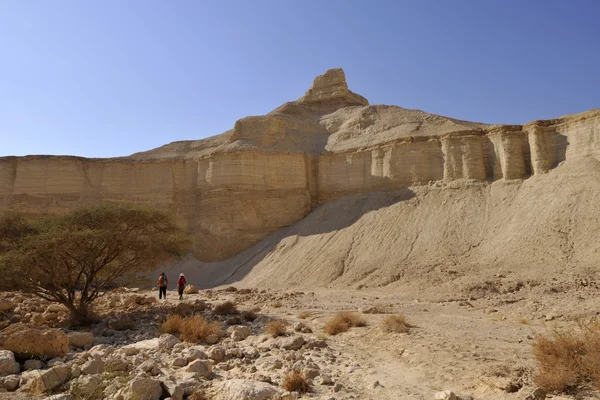 Vádí zohar trek v Judsku poušti. — Stock fotografie