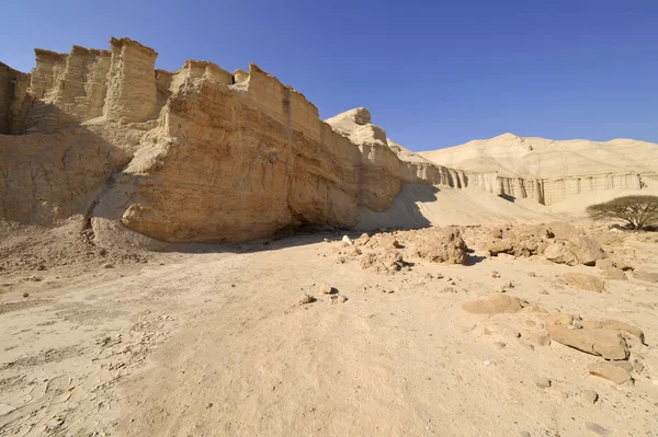 Wadi zohar trek in woestijn van judea. — Stockfoto