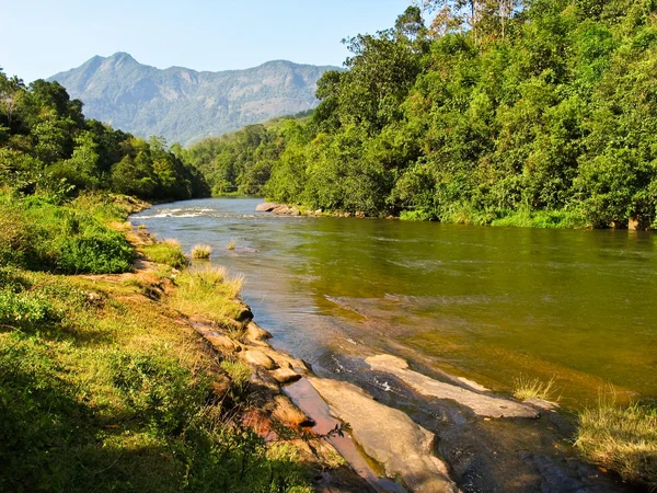 stock image Idyllic landscape in Sri Lanka