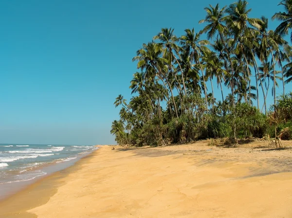 stock image Idyllic beach in Sri Lanka