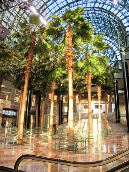 Palmen im Handelszentrum — Stockfoto