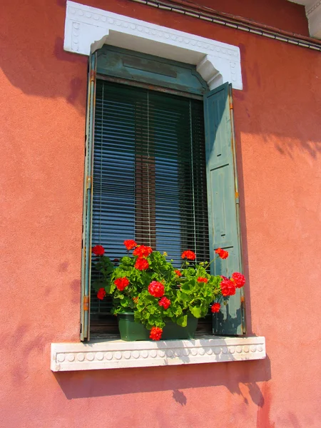 stock image Window in Venezia